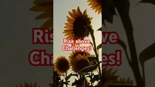 Embrace New Beginnings!           #motivation #viralvideos