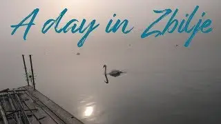 A day at Zbilje lake