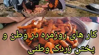 کار های روزمره در وطن #جاغوری # کار وطن