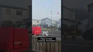 Foggy winter morning in Auckland, NewZealand!