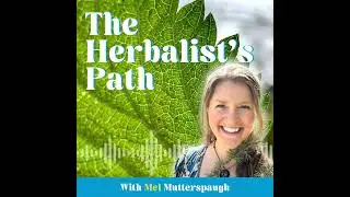 Liver Health Herbs - How Herbalists Support Natural Detox Pathways Without &ldquo;Cleanses&rdquo;
