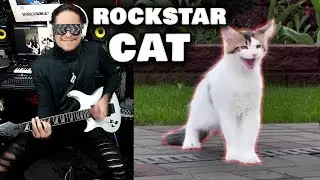 The Rockstar Cat - O gato roqueiro