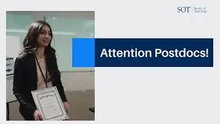 SOT Weekly Update 8-15-2024