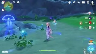 Kokomi's Skill Issue