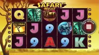 Big Win in Free Spins Mode on Safari Heat Slot Machine from Playtech