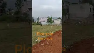 Un Approval plot sale Near Thimminaidu Palem, any one interested contact me 8919164543