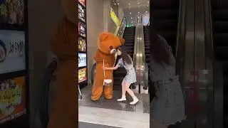 troll bearhigh on life troll bearpapa troll teddy bearbear grylls troll tamilbeary lbeard troll m