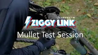 Mullet Test Session - Forbidden Dreadnought and Druid - Ziggy Link timed testing