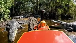 Miniature Train Adventure 🚂 | Peaceful Travel Aesthetic #MiniatureTrain #RelaxingTrainRide