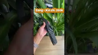 Da b&ograve; thật &ndash; gi&aacute; thật &ndash; chất lượng thật 0898331133 -Mua 1 lần d&ugrave;ng mấy năm! #ThắtLưngNam #DayNitDaBo