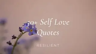 Self Love Quotes | Inspirational Quotes About Self Love