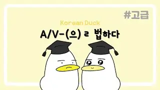 A/V-(으)ㄹ 법하다 | 한국어 문장 패턴 연습 030 | 🦢고급🦢
