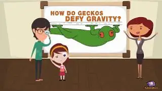 The inspiration of Gecko's feet to technology applications (SciVid 2017-F)