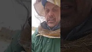 Late January Honeybees, Checking and feeding as needed Part 1