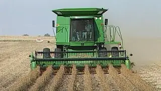 Combing Beans in Iowa, 1994 | From the Market to Market Tape Library