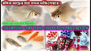 Color Fish & Dry Food Collection Price Review I Daksineswar Pet Market I রঙ্গিনমাছের হাট দক্ষিণেস্বর