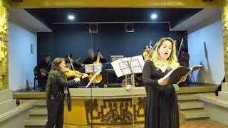 Mariposa Jos&eacute; de Orejon y Aparicio Barroco Americano