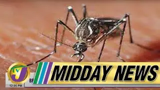 Justice for Migrant Workers | Increase in Mosquitoes & Dengue Cases - Expert Warns #tvjmiddaynews