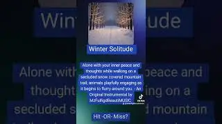 Winter Solitude  - An Original Instrumental by MzFulfigdBeautiMUSIC