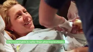 CannaMommy.org Cannabis Is Safe