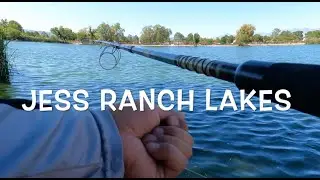 Jess Ranch Lakes CA Fishing - Dog Days of Summer