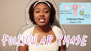 Menstrual Cycle (the four phases that I didn&rsquo;t know about until high school!!!!) 