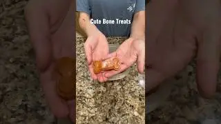 Cute homemade dog bone treats! So easy! Recipe included. #dogs #puppy #dogtreats #dogtraining