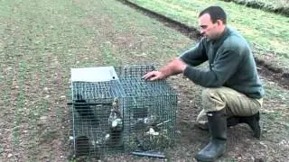 Traps, Snares and Pest Species