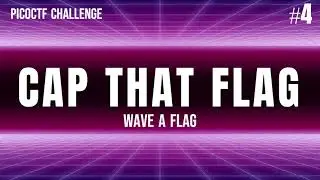 picoCTF Walkthrough - Wave A Flag