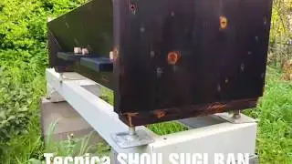 Nuova arnia TOP BAR tecnica SHOU SUGI BAN !!!