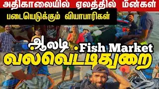 🔴 கலவரம் போல் காட்சியளிக்கும் ஆலடி மீன் சந்தை 🇱🇰 | Fish market in Valvettithurai  | Tamil Friend