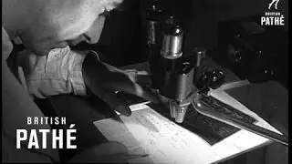 Disappearance Of Mrs Maclean (1953)