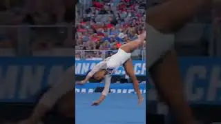 Double Layout