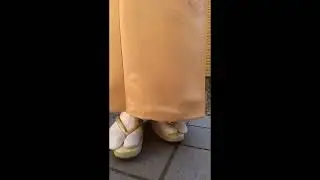 きゃらこの白足袋動画（正絹色無地・名古屋帯）2025/12/16