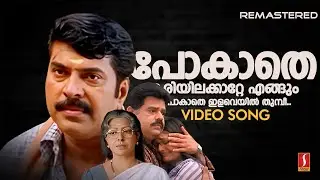 Pokathe Kariyila Katte Video Song | Remastered | Rappakal | Mammootty | Afsal | Mohan Sithara