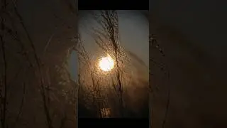 golden hour #goldenhour #beautiful #photo #photography #photographer #photoshoot #camera #picture