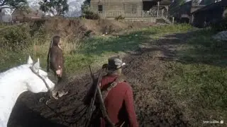 Red Dead Redemption 2 Strange Events