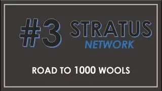 Stratus Network: Road to 1000 Wools #3