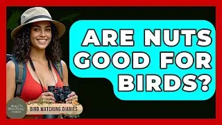 Are Nuts Good For Birds? - Bird Watching Diaries