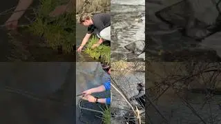 Joe Humphreys Fly Fishing Program at Penn State 🎣 #flyfishing #pennstate #fishing #wildlife