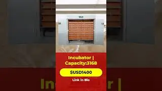 Efficient High-Capacity Incubator for Poultry Farming