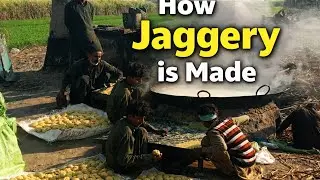 گنے سے گڑ کیسے بنتا ہے؟ مکمل دیسی طریقہ  Jaggery Making Process  Mustaqeem Life