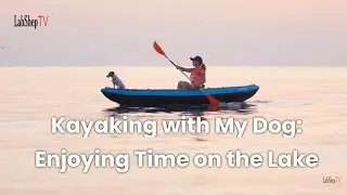 Kayaking with My Dog: Enjoying Time on the Lake  #LabShepTV