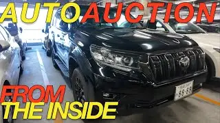ОГРОМНЫЙ АУКЦИОН В ЯПОНИИ / TOYOTA LAND CRUISER PRADO PRIUS ROOMY MITSUBISHI DELICA D5 NISSAN ELG...