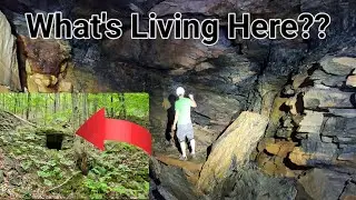 Hidden Tunnel Beneath Old Mine Operation