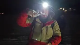 Knik 200 Sled Dog Race - Day 1 2024