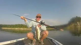Summit Hawk By Ardent! Must have Bass Fishing reel!