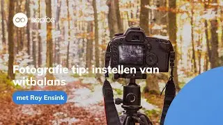 [Tutorial] Leer fotograferen - Wat is witbalans en hoe stel je het in?
