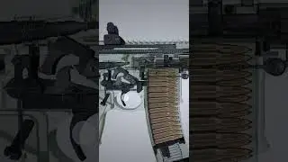 SIG MCX Gun work
