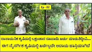 ನೈಸರ್ಗಿಕವಾಗಿ ಖರ್ಚಿಲ್ಲದೆ ಸಮಗ್ರ ಕೃಷಿ ಪದ್ಧತಿಯನ್ನು ಅಳವಡಿಸಿಕೊಂಡು ನೆಮ್ಮದಿ ಕಂಡುಕೊಂಡಿದ್ದೇನೆ